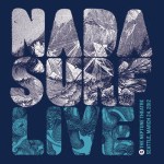 nada surf